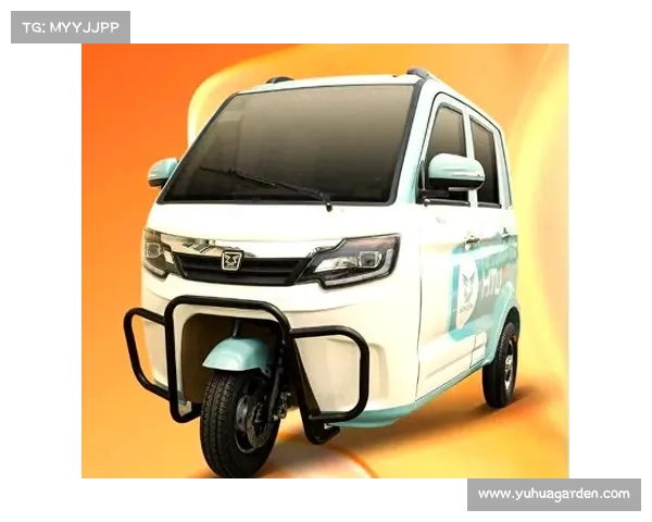 今天才清楚,电动三轮、四轮车有哪些品牌比较好?应该怎么挑选?