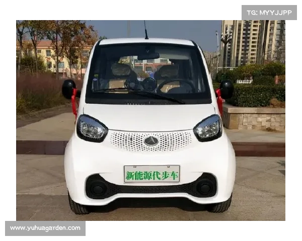 低速四轮代步车不安全？新款老年电动车来了，操作简单更安全